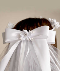 Veil With Headpiece